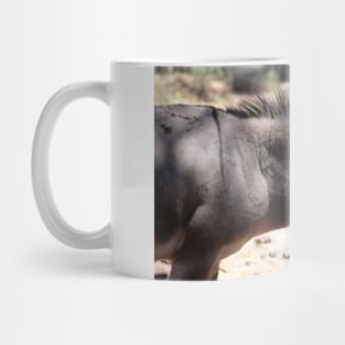 Closeup of Mule - Arizona Mug